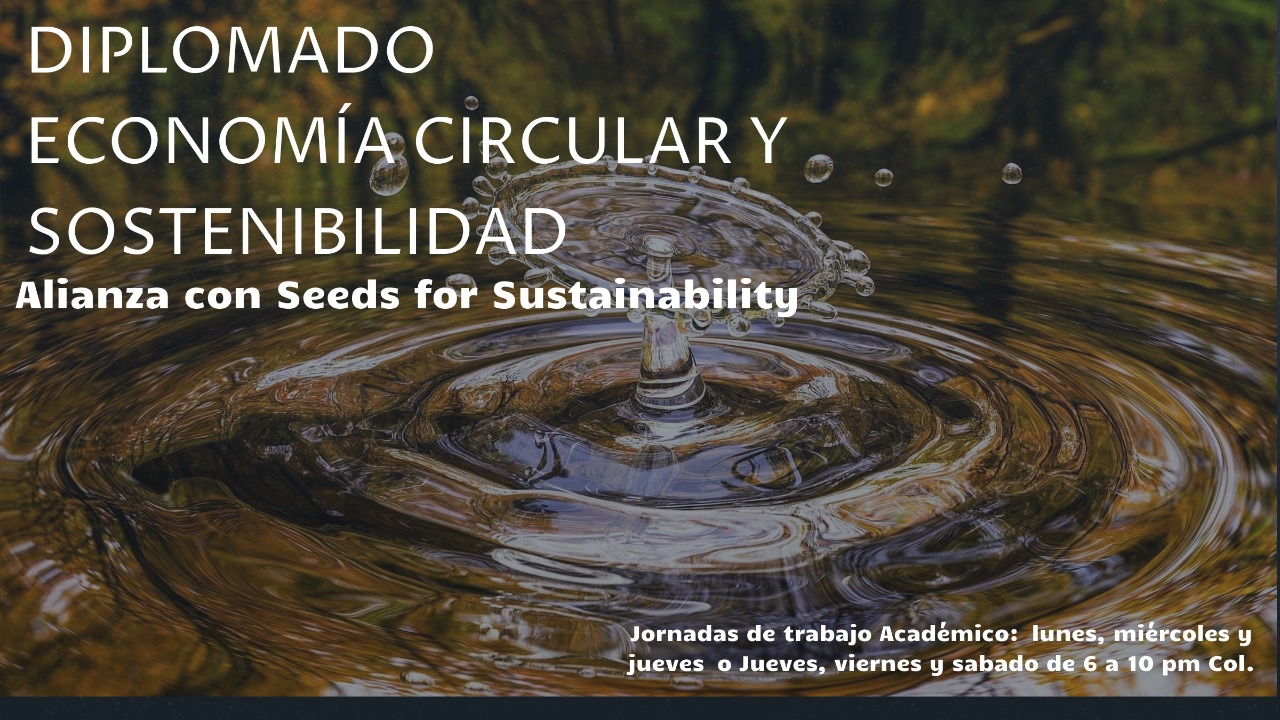 DIPLOMADO EN ECONOMÍA CIRCULAR Y SOSTENIBILIDAD